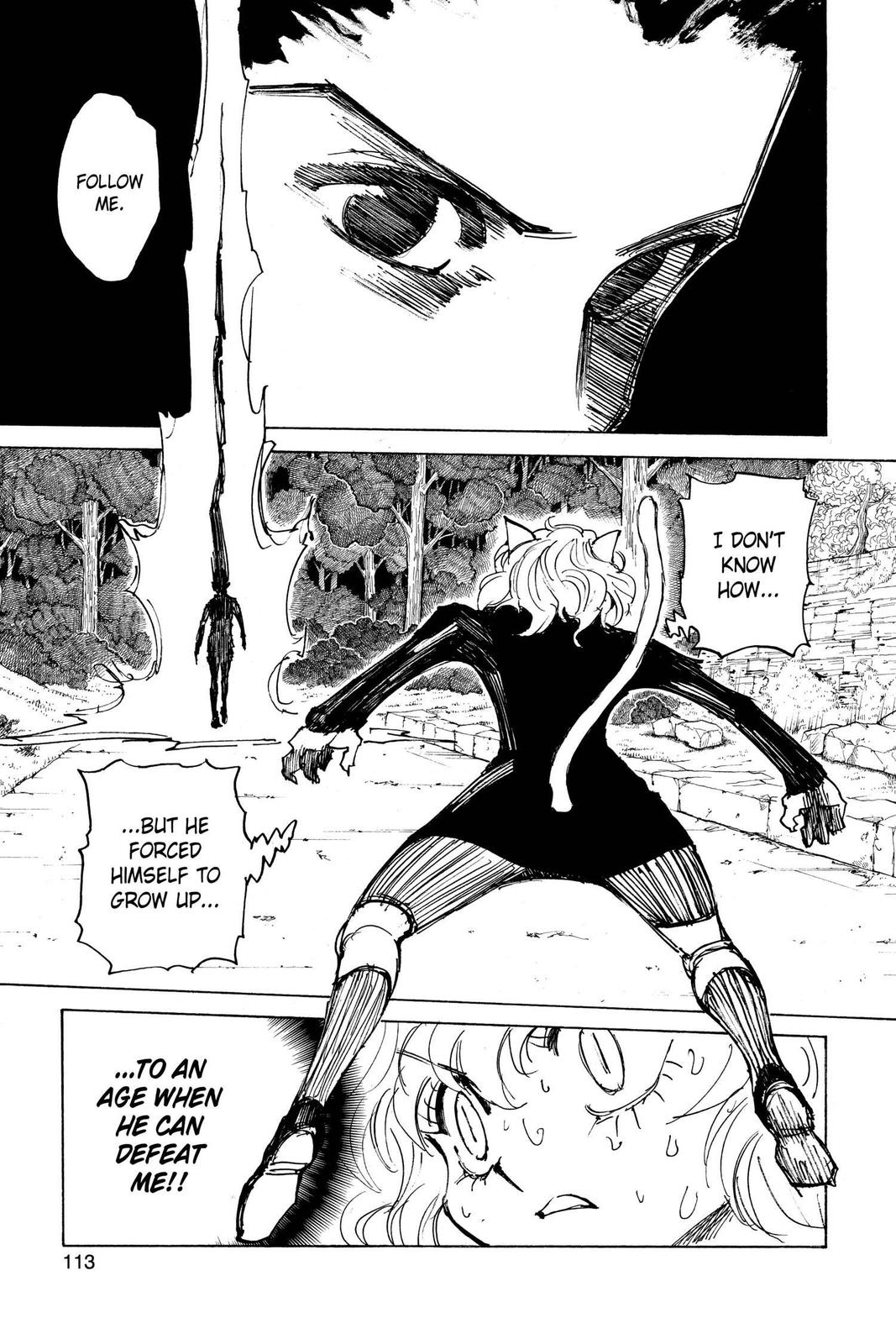 Hunter x Hunter Chap 306 - Next Chap 307