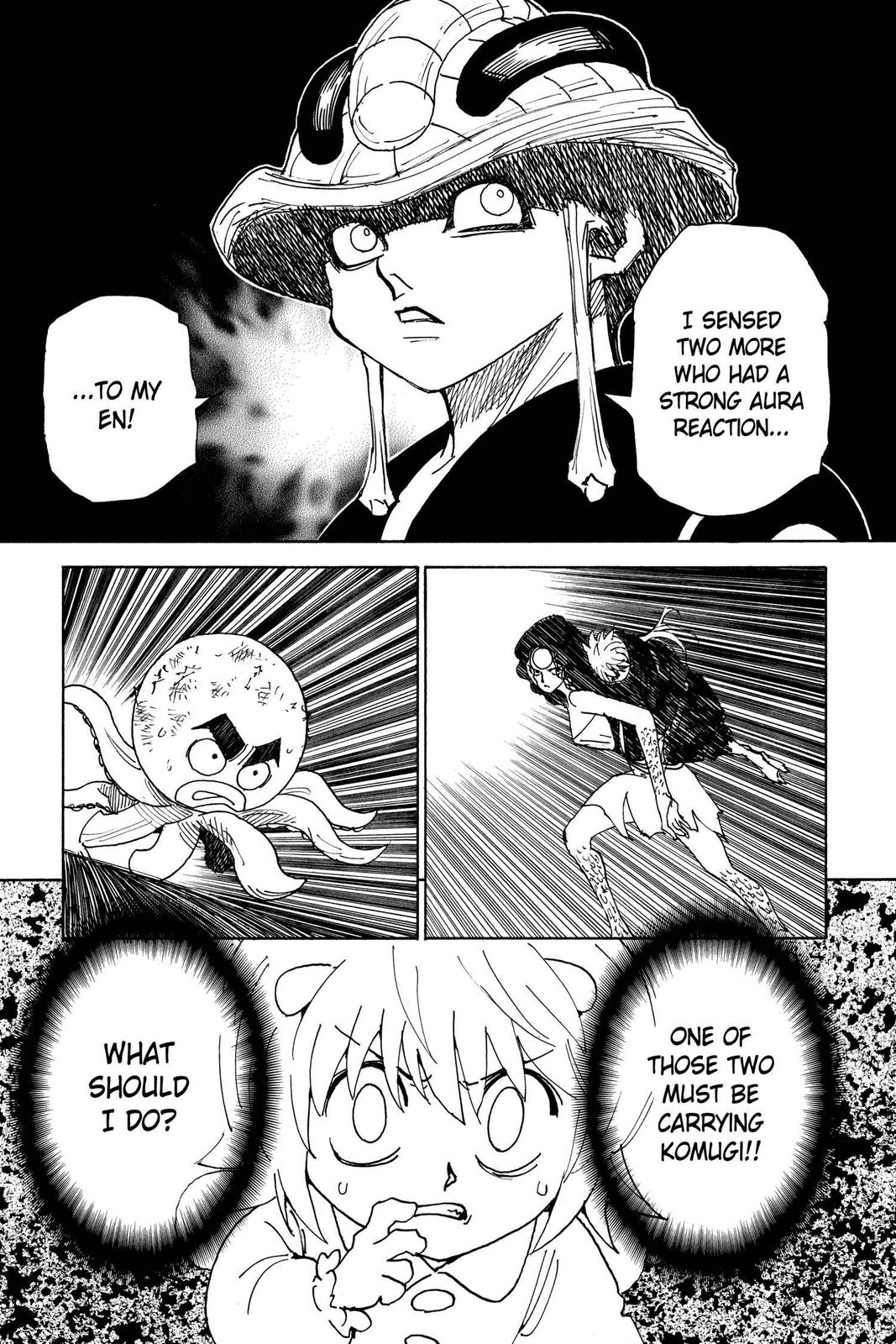 Hunter x Hunter Chap 308 - Next Chap 309