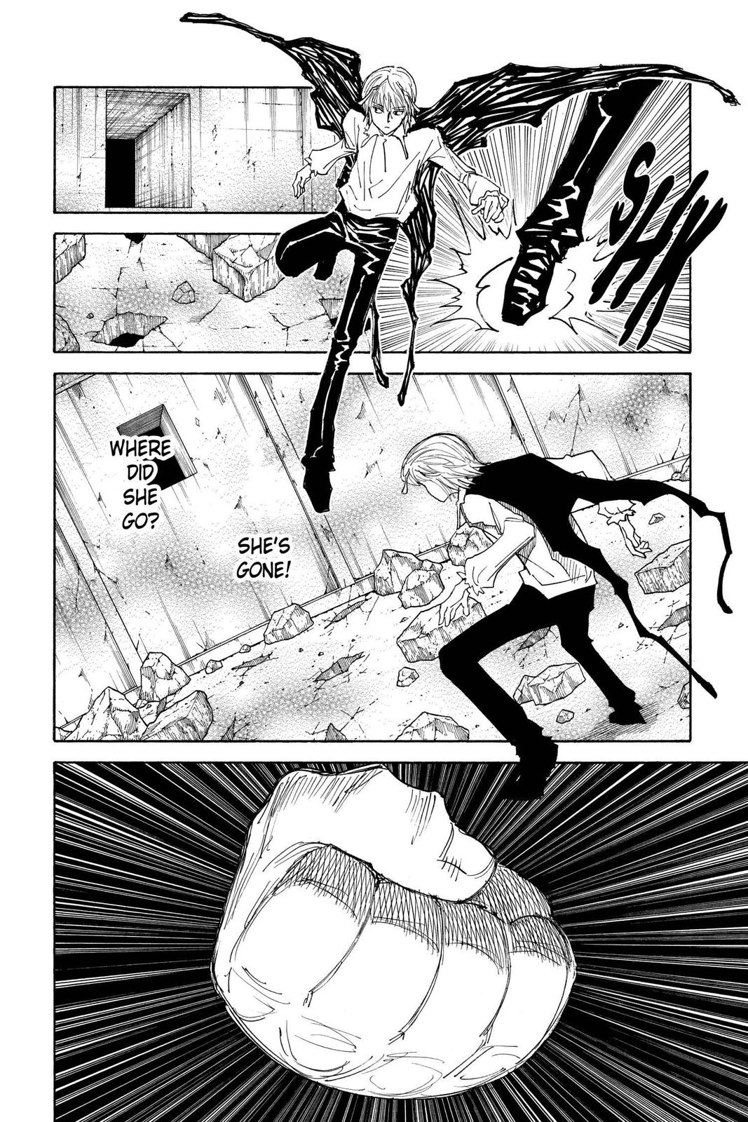 Hunter x Hunter Chap 301 - Next Chap 302