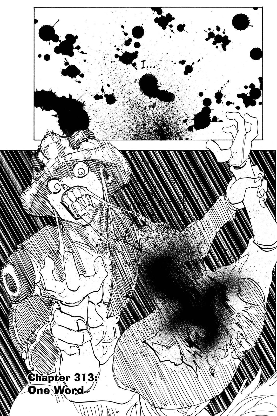 Hunter x Hunter Chap 313 - Next Chap 314