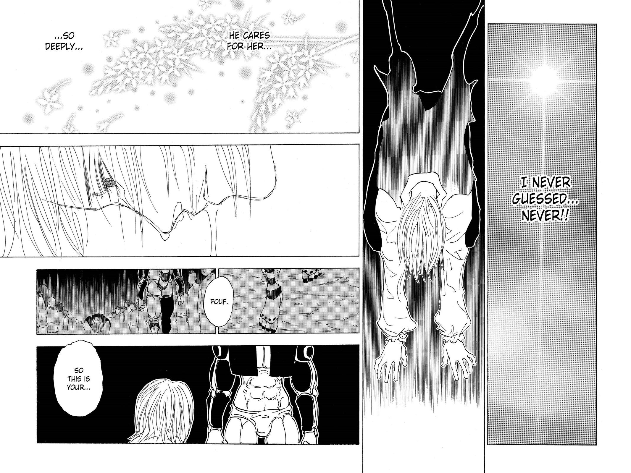 Hunter x Hunter Chap 313 - Next Chap 314