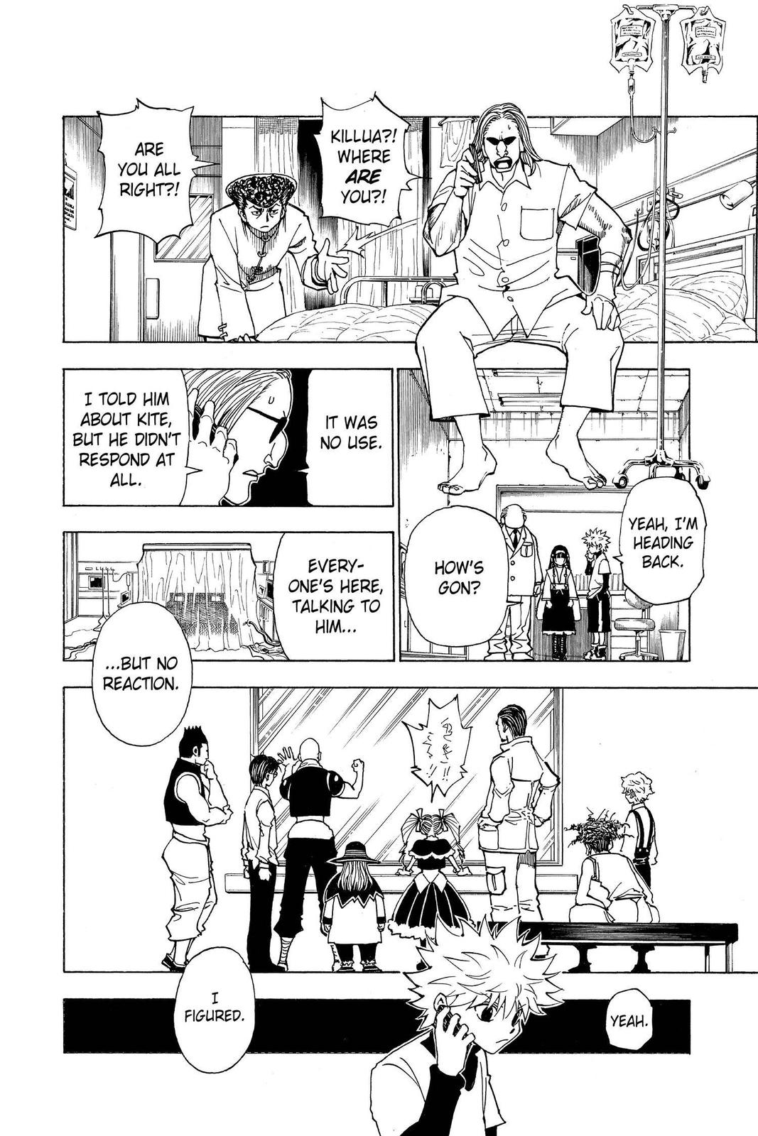 Hunter x Hunter Chap 324 - Next Chap 325