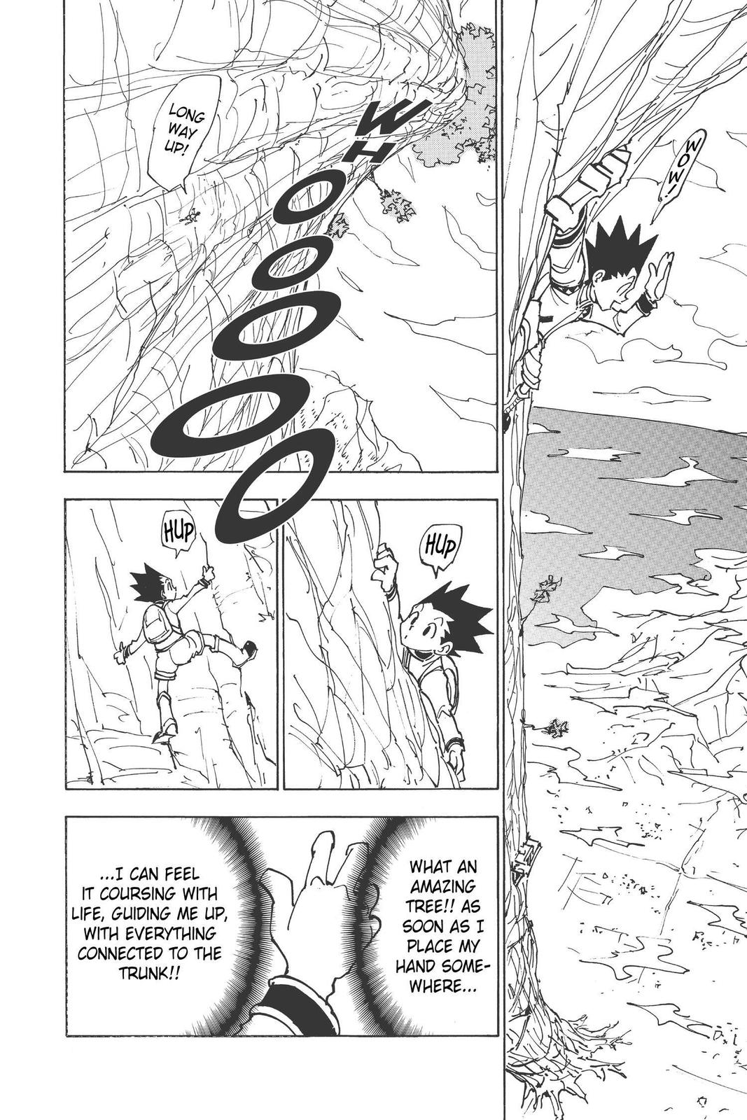 Hunter x Hunter Chap 338 - Next Chap 339