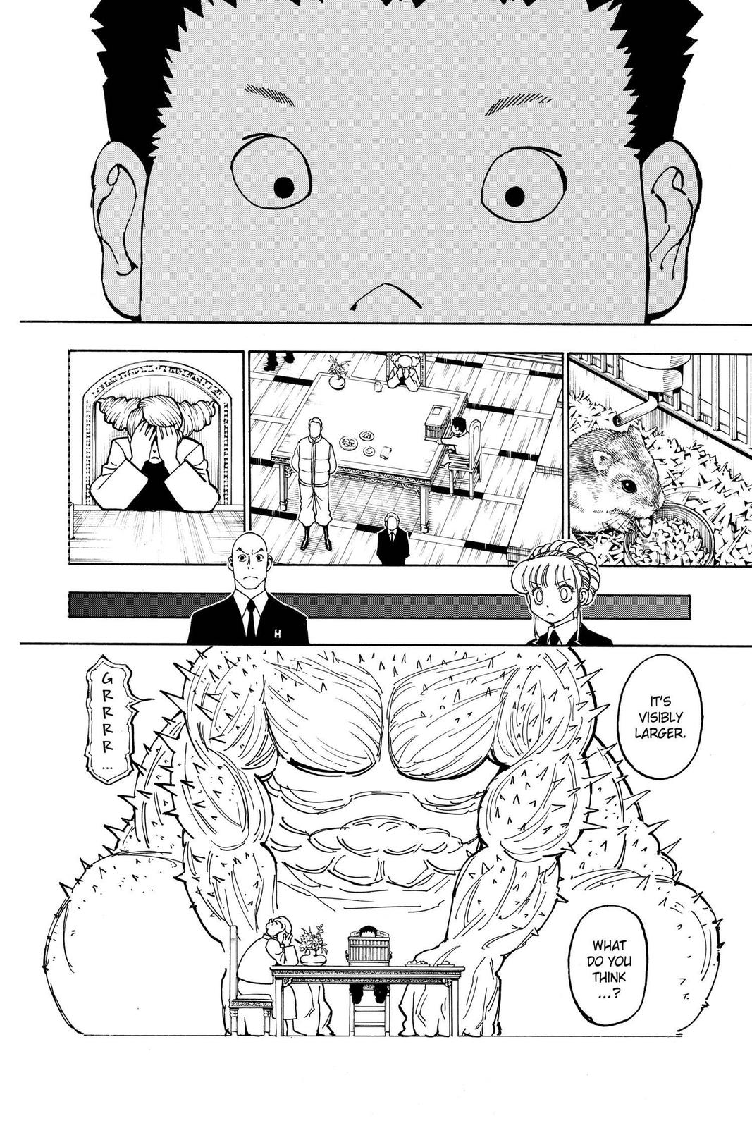 Hunter x Hunter Chap 372 - Next Chap 373