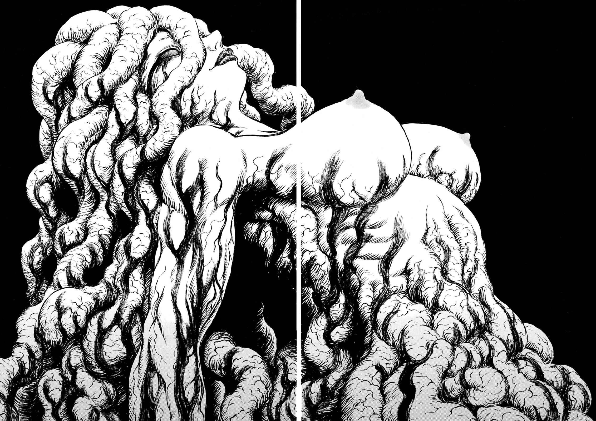 Berserk Chap 219 - Next Chap 220