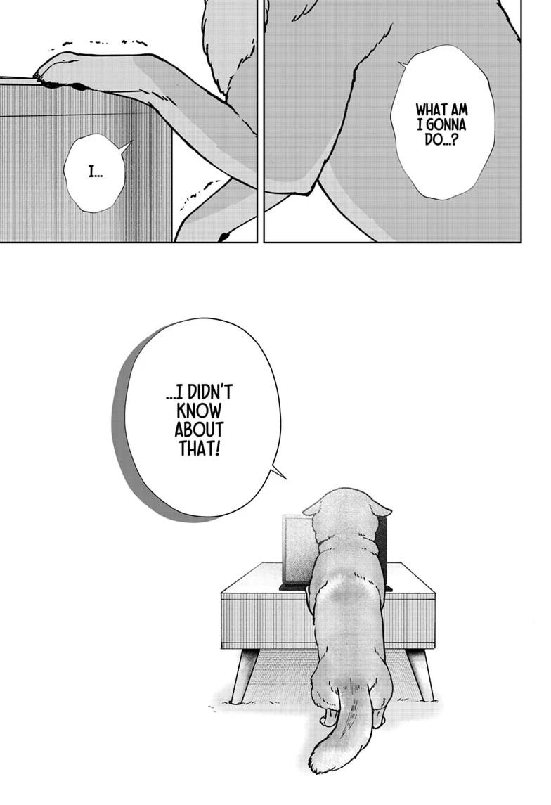 Shiba Inu Rooms Chap 60 - Next Chap 61