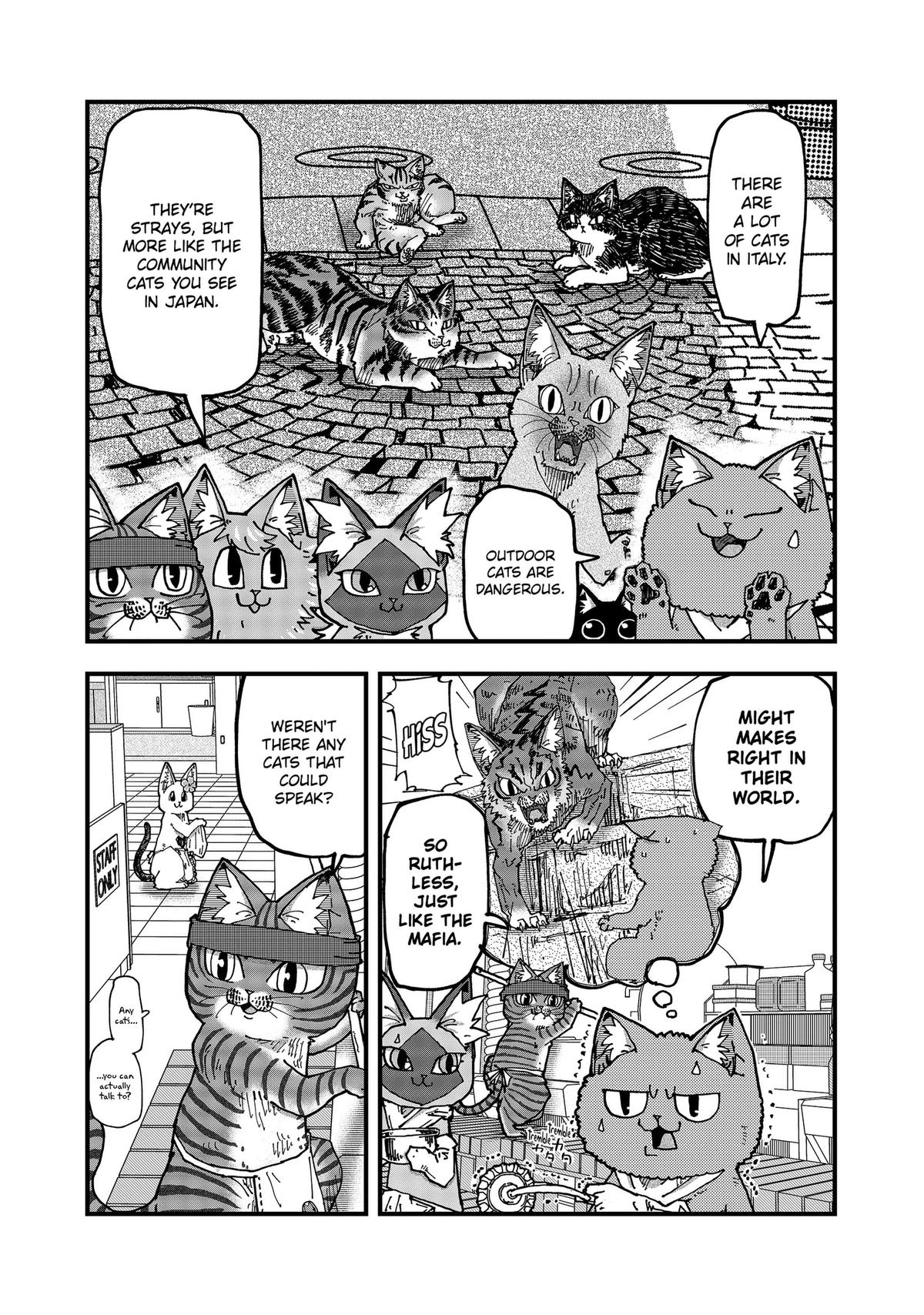 Red Cat Ramen Chap 204 - Next Chap 205