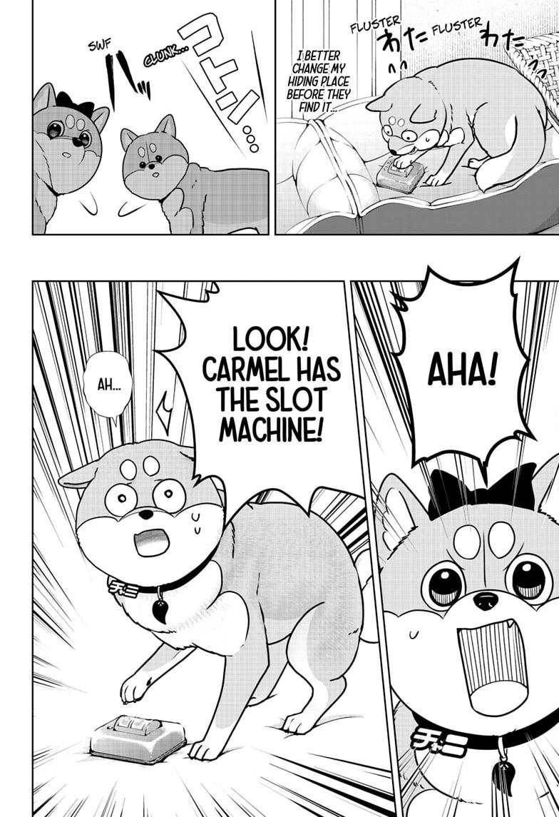 Shiba Inu Rooms Chap 58 - Next Chap 59