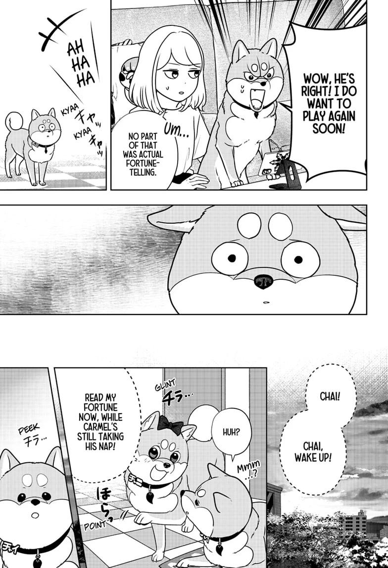 Shiba Inu Rooms Chap 58 - Next Chap 59