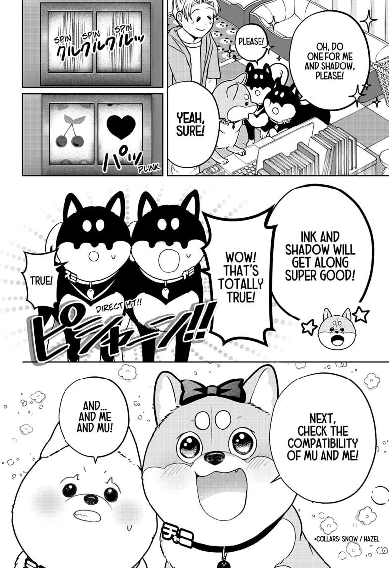 Shiba Inu Rooms Chap 58 - Next Chap 59