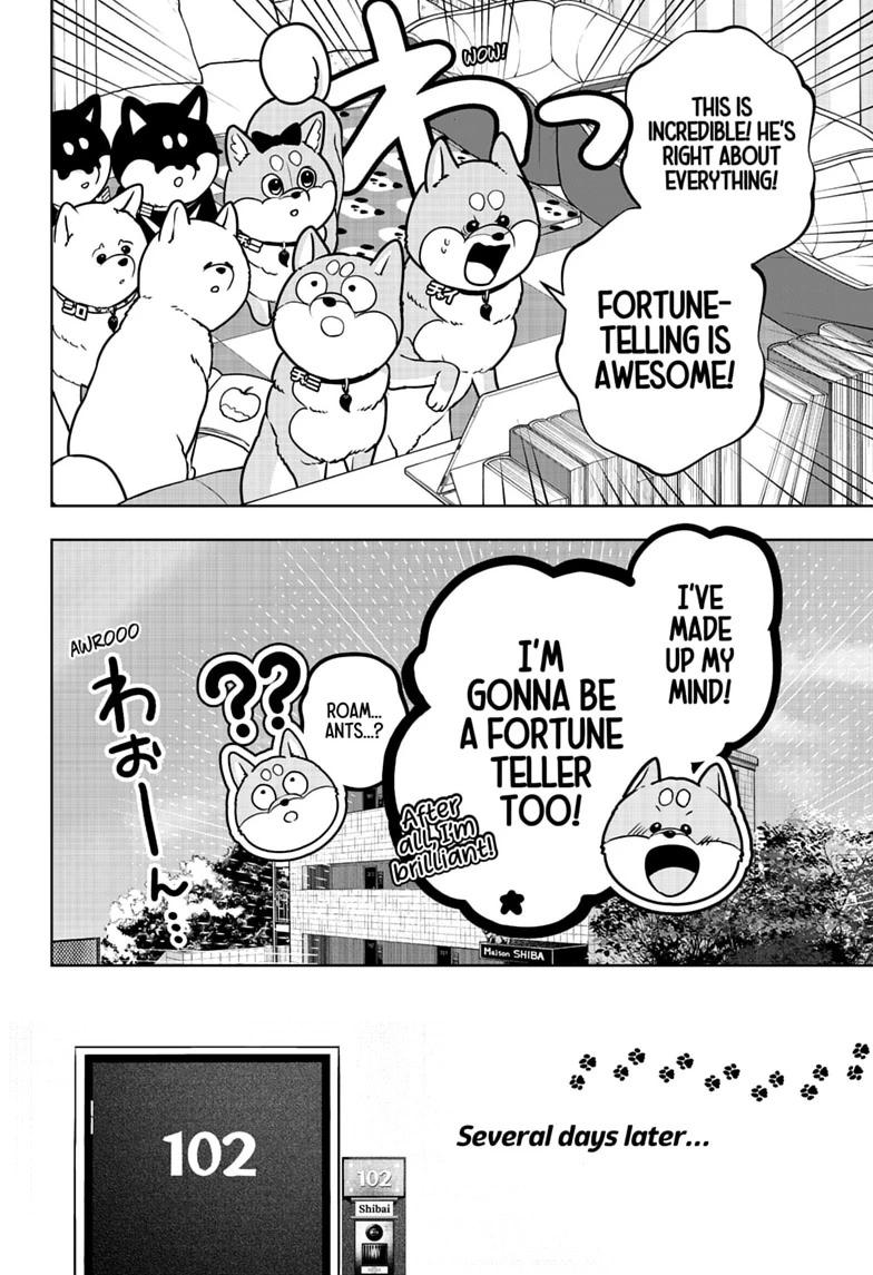 Shiba Inu Rooms Chap 58 - Next Chap 59
