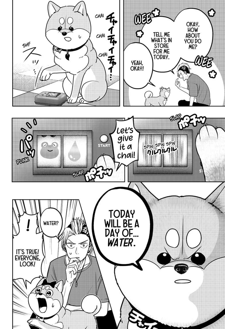 Shiba Inu Rooms Chap 58 - Next Chap 59