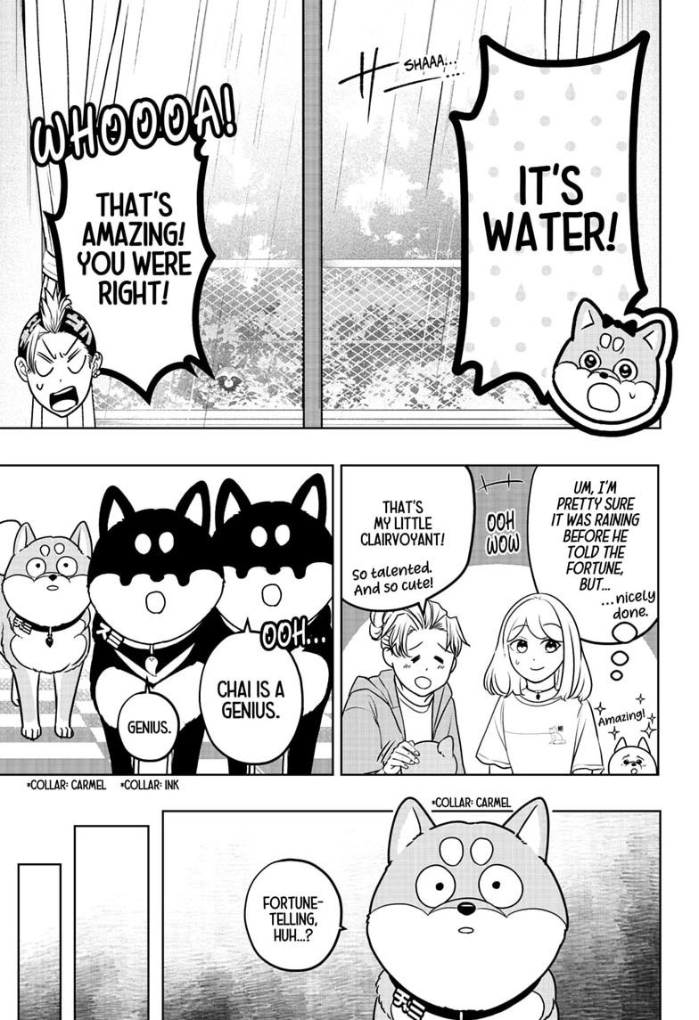 Shiba Inu Rooms Chap 58 - Next Chap 59