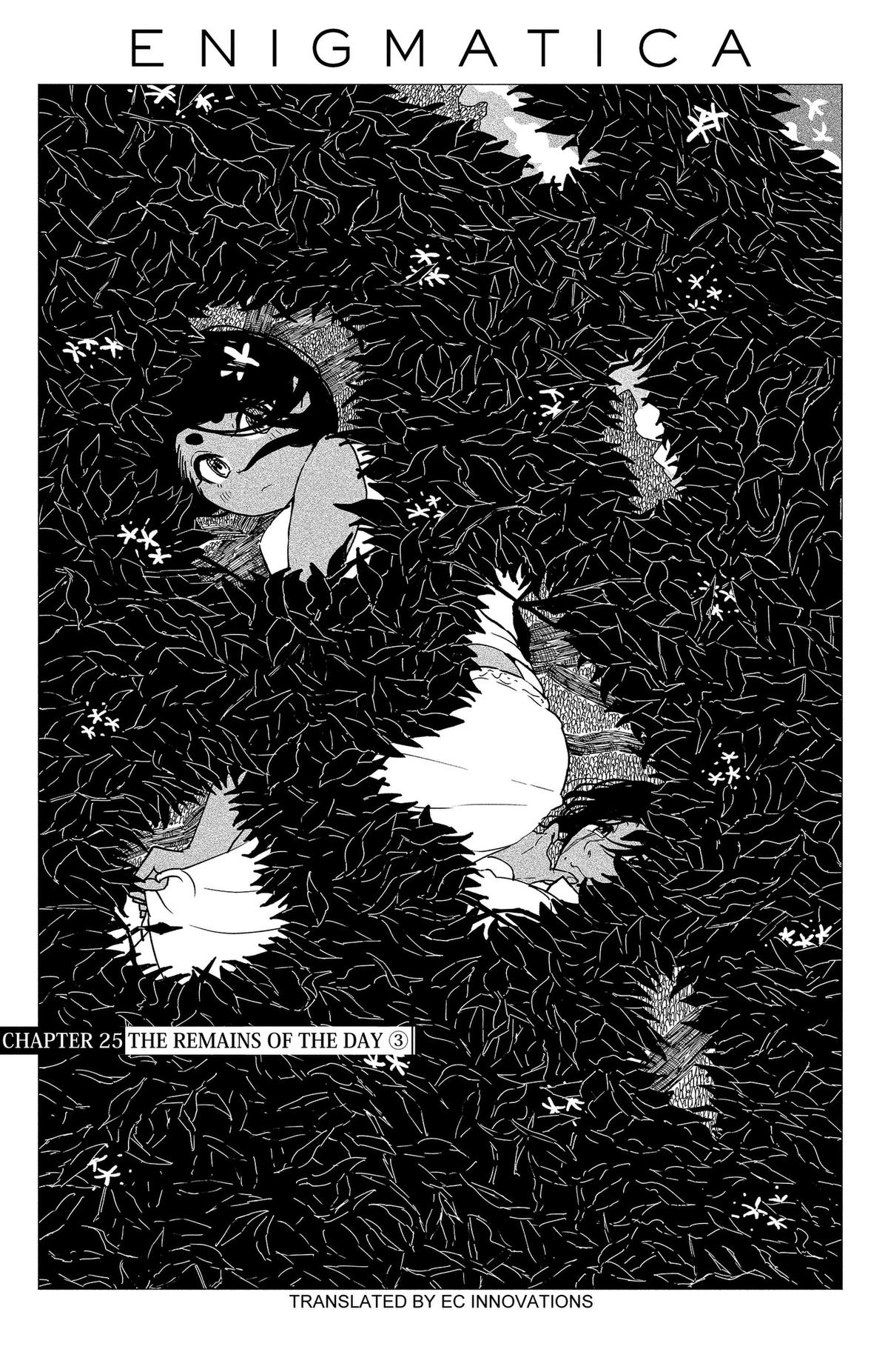 Enigmatica Chap 25 - Next Chap 26