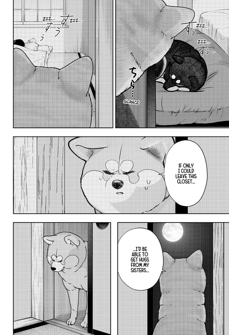 Shiba Inu Rooms Chap 59 - Next Chap 60
