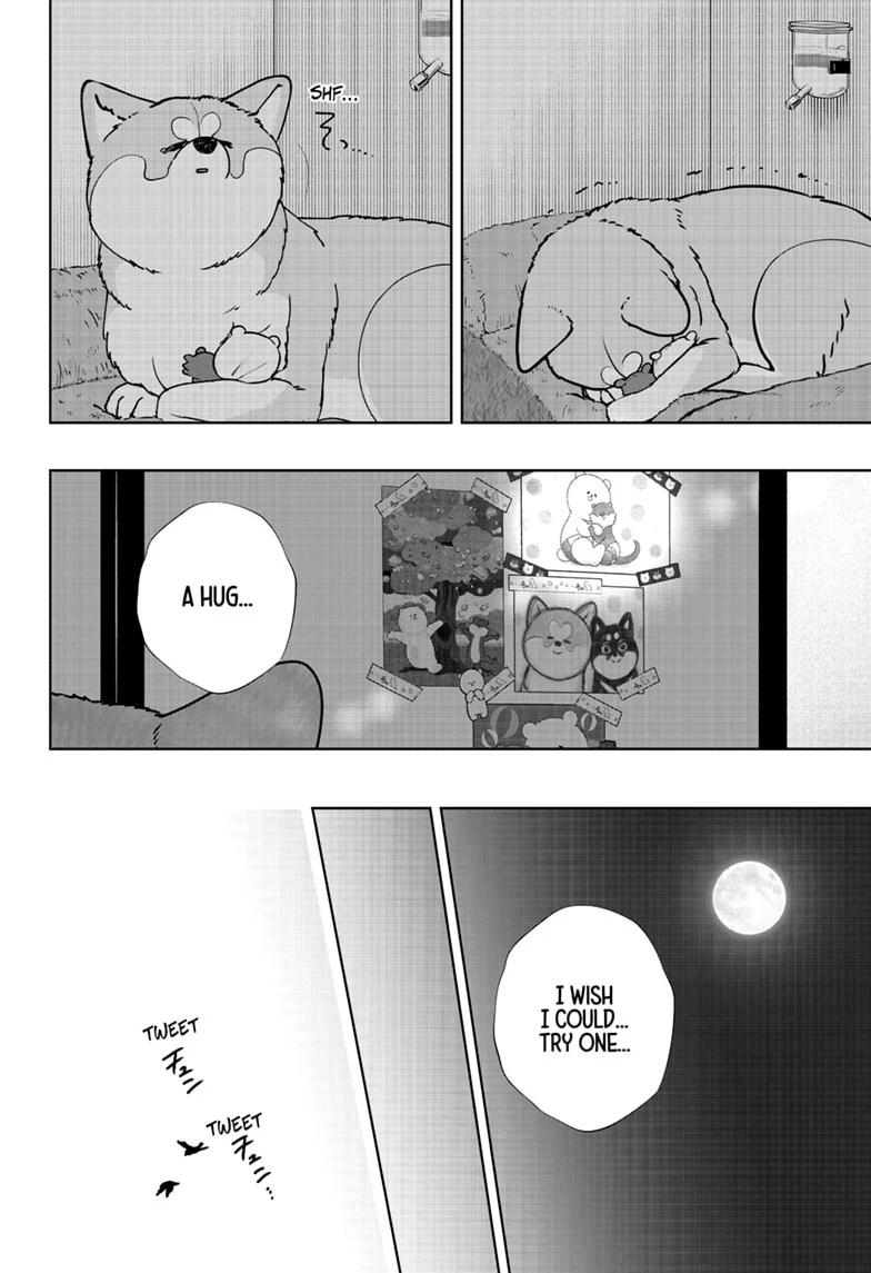 Shiba Inu Rooms Chap 59 - Next Chap 60