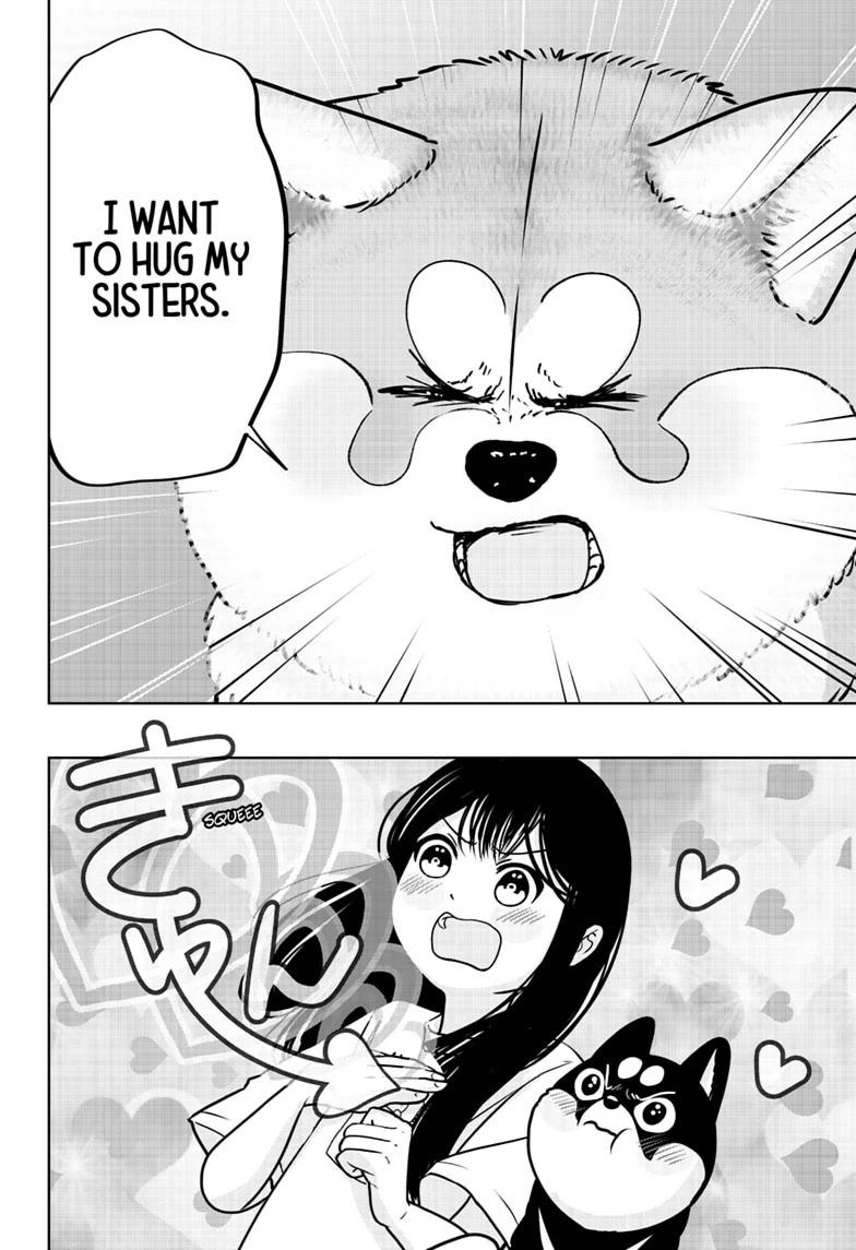 Shiba Inu Rooms Chap 59 - Next Chap 60