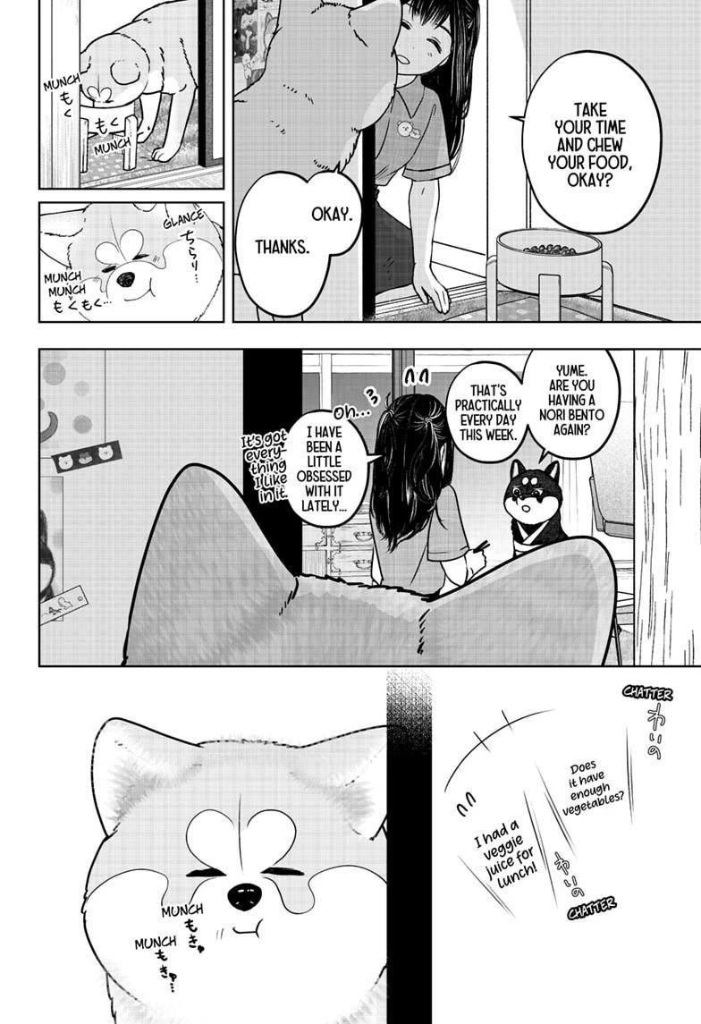 Shiba Inu Rooms Chap 59 - Next Chap 60