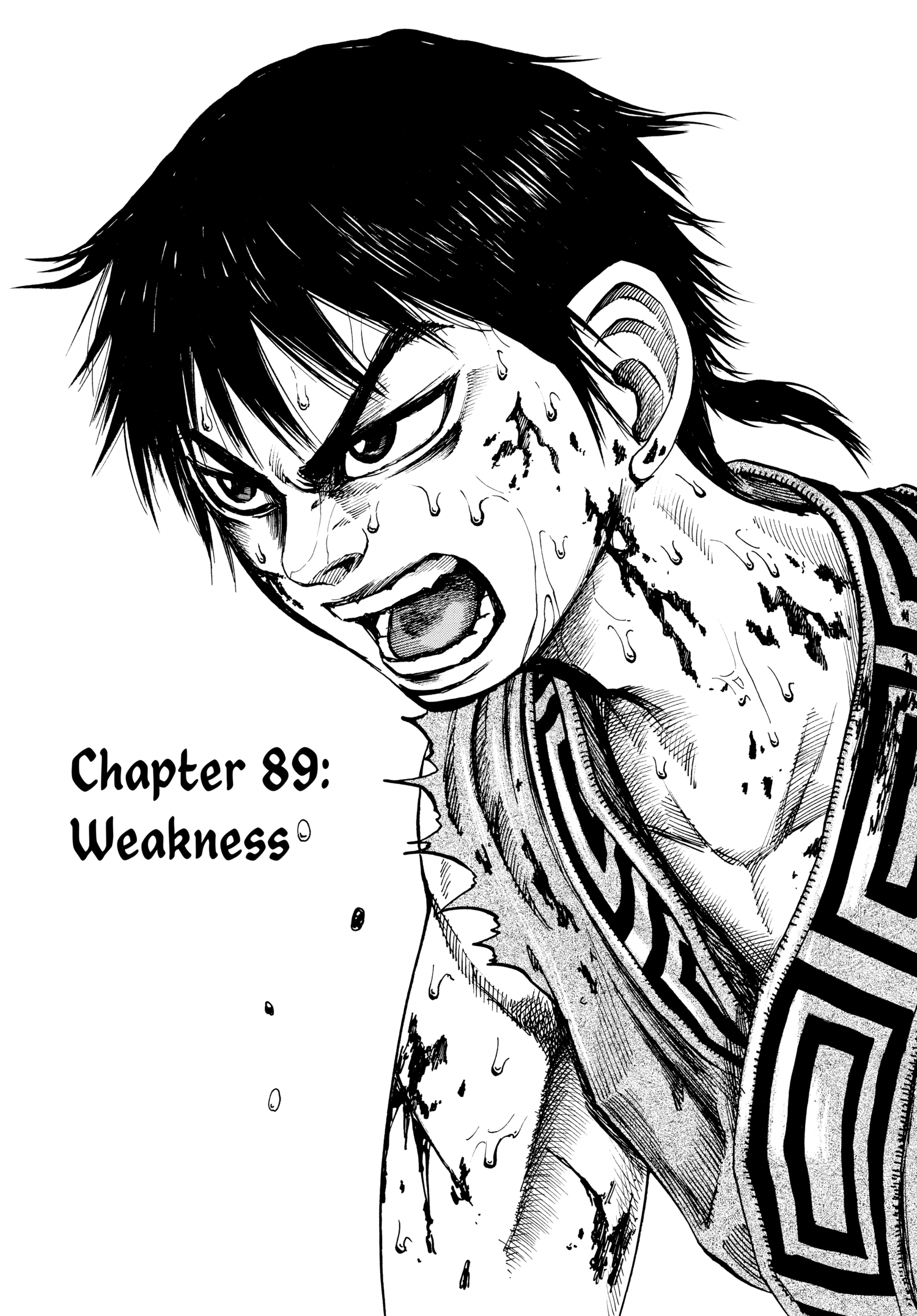 Kingdom Official Version Chap 89 - Next Chap 90
