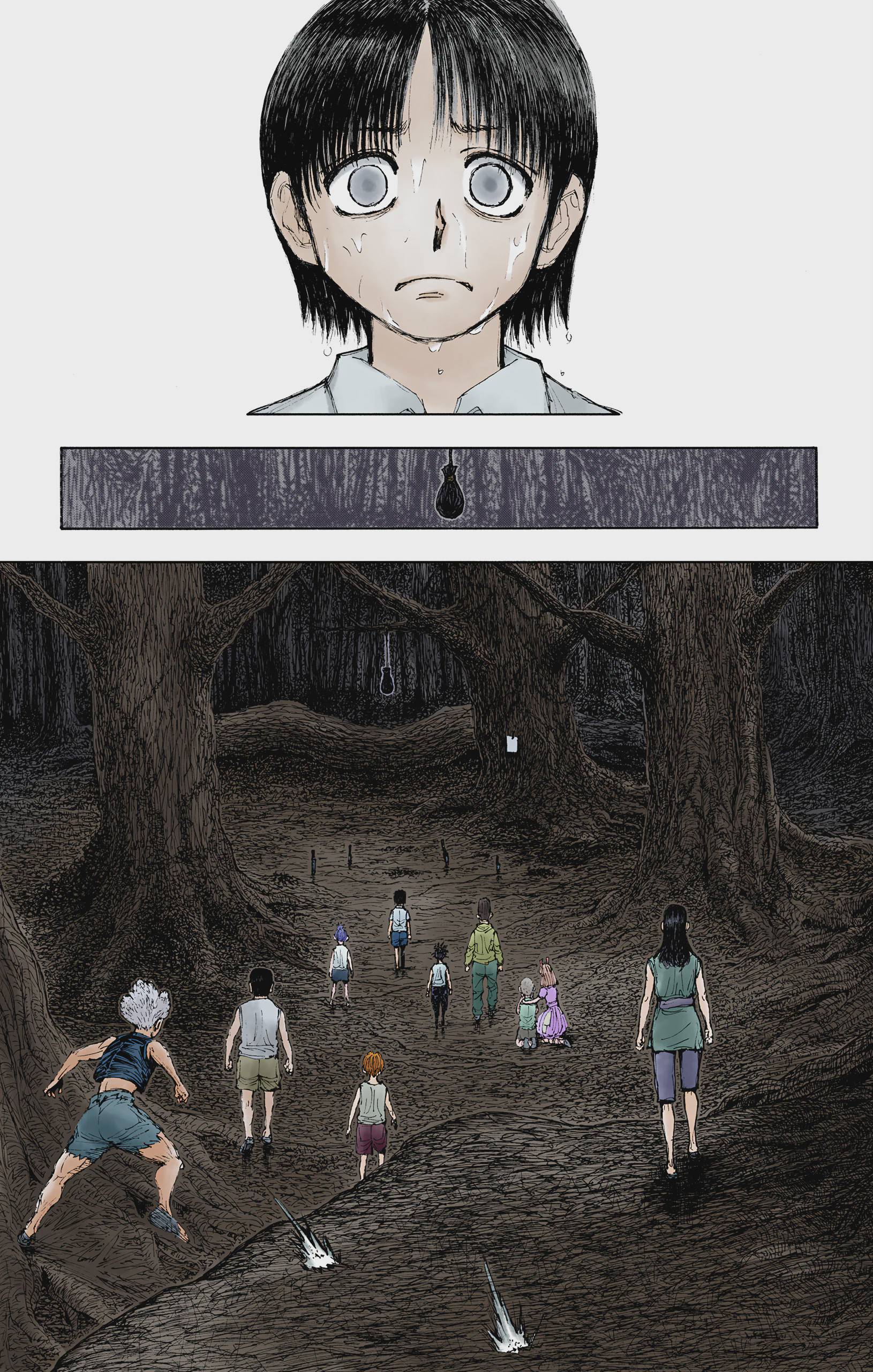 Hunter x Hunter - Digital Colored Comics Chap 397 - Next Chap 398
