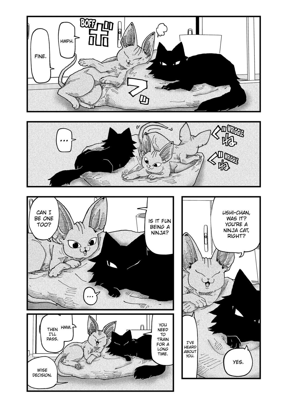 Red Cat Ramen Chap 200 - Next Chap 201