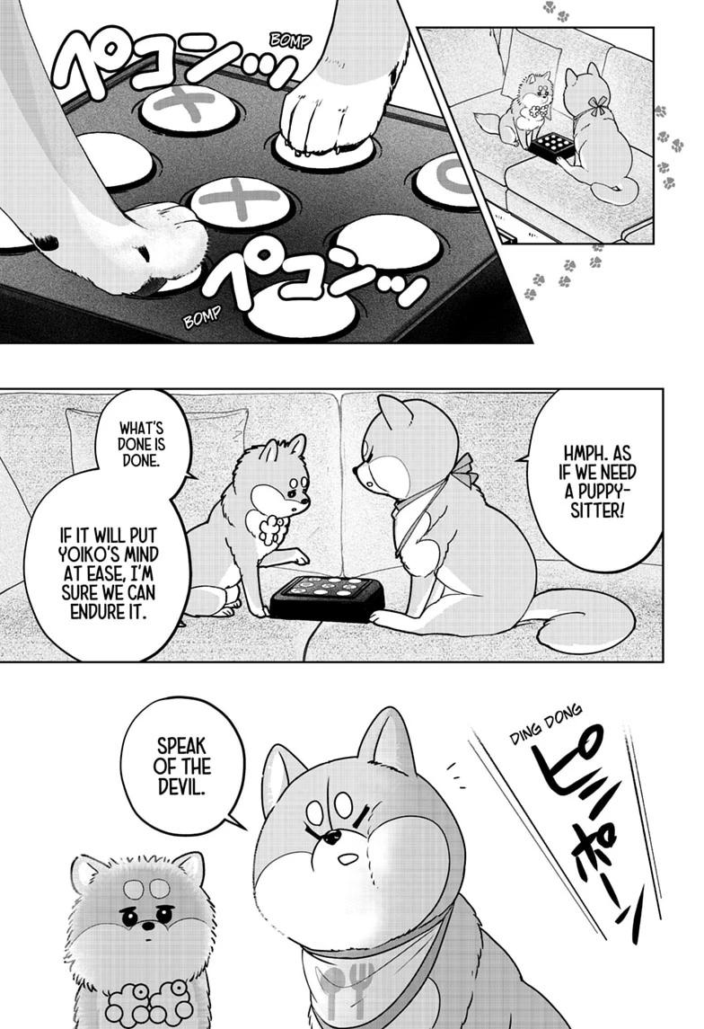 Shiba Inu Rooms Chap 56 - Next Chap 57