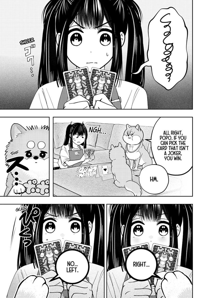 Shiba Inu Rooms Chap 56 - Next Chap 57