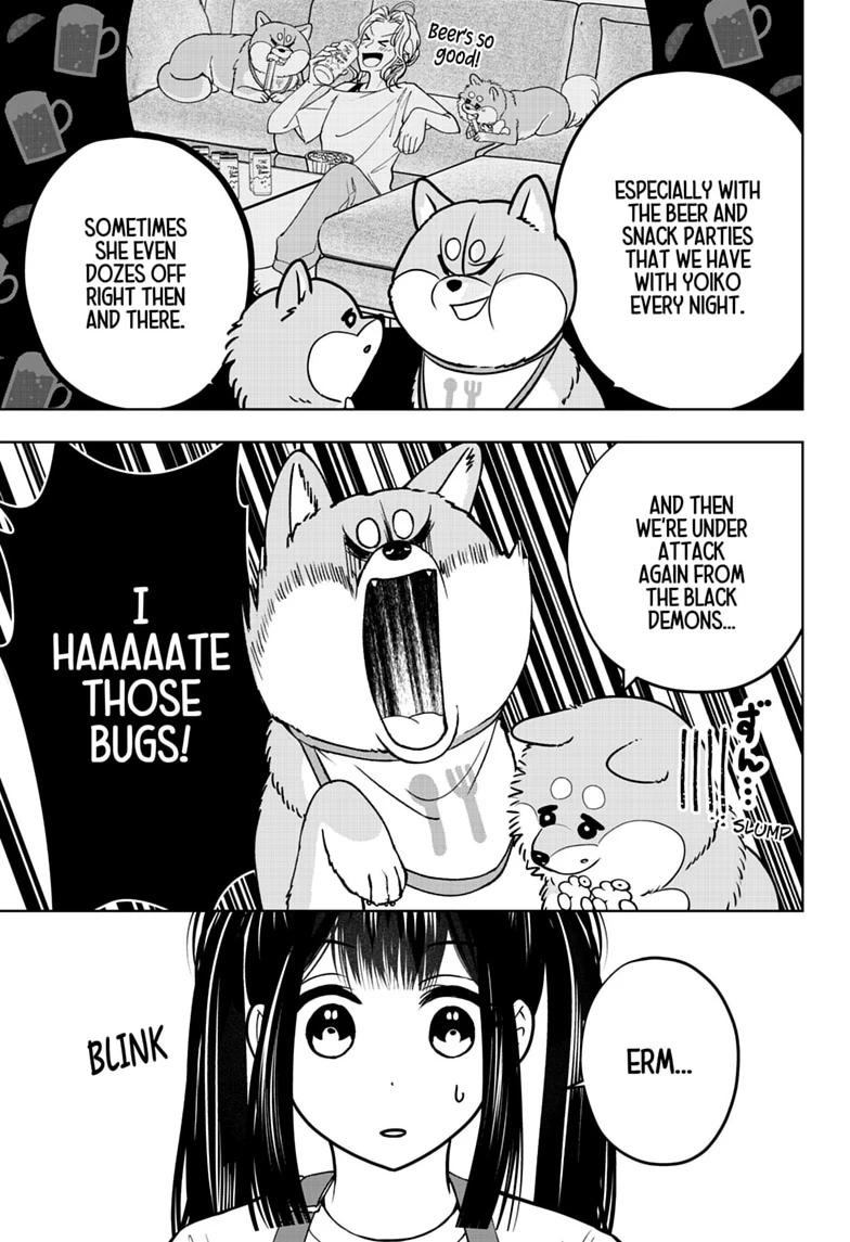Shiba Inu Rooms Chap 56 - Next Chap 57