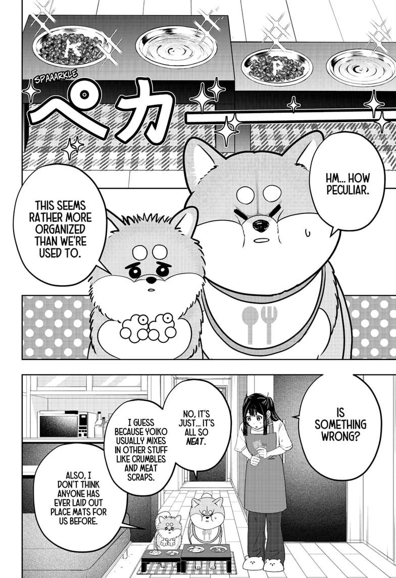 Shiba Inu Rooms Chap 56 - Next Chap 57