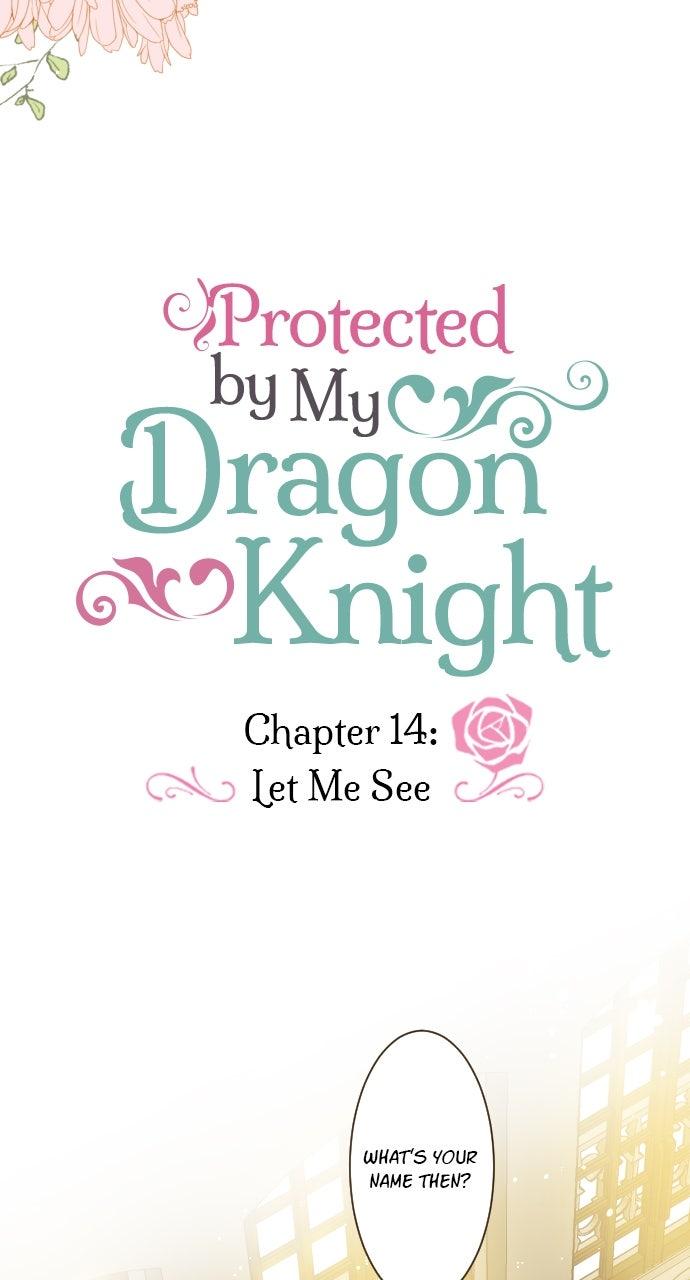 Protected by My Dragon Knight Chap 14 - Next Chap 15