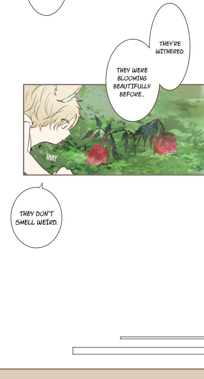 Protected by My Dragon Knight Chap 15 - Next Chap 16
