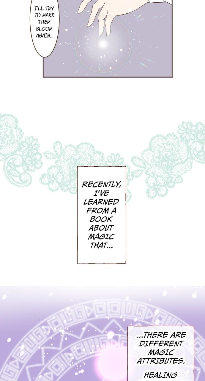 Protected by My Dragon Knight Chap 15 - Next Chap 16