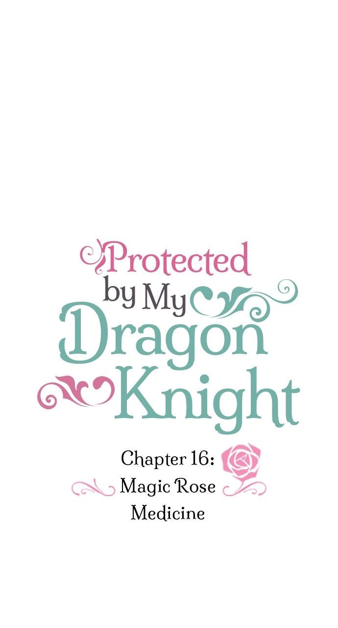 Protected by My Dragon Knight Chap 16 - Next Chap 17