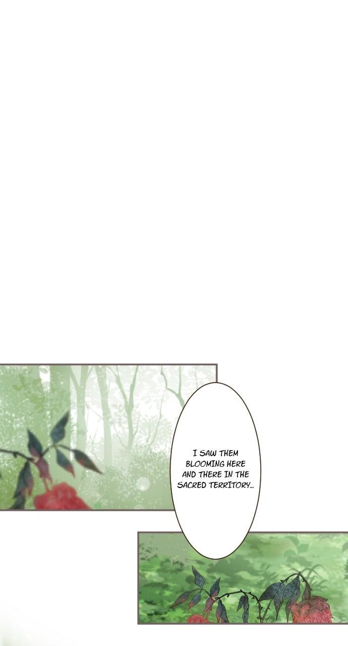 Protected by My Dragon Knight Chap 16 - Next Chap 17