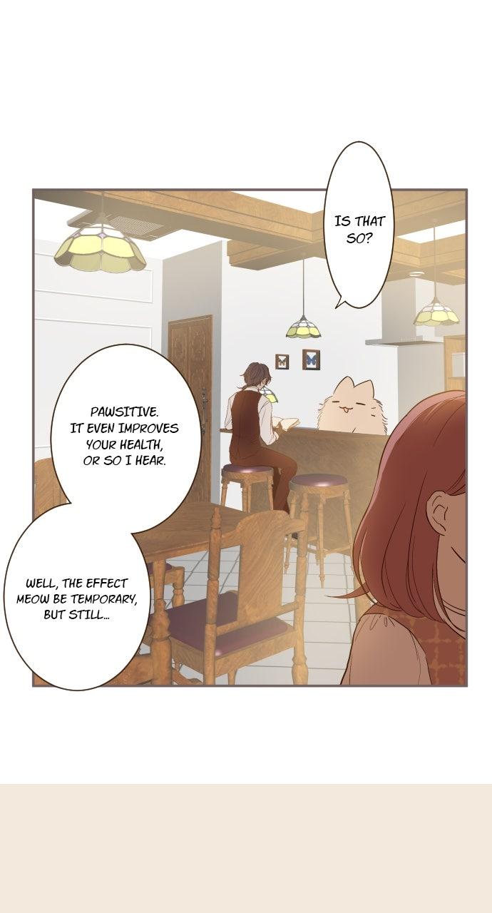 Protected by My Dragon Knight Chap 17 - Next Chap 18