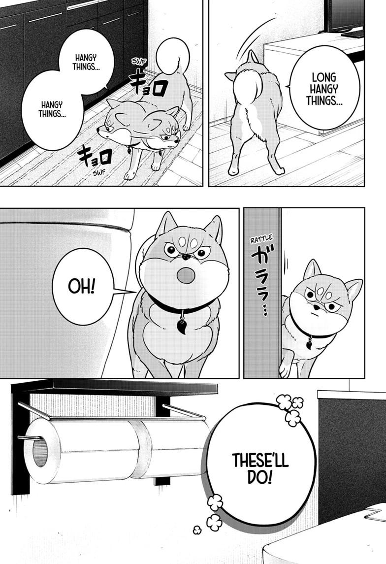 Shiba Inu Rooms Chap 57 - Next Chap 58
