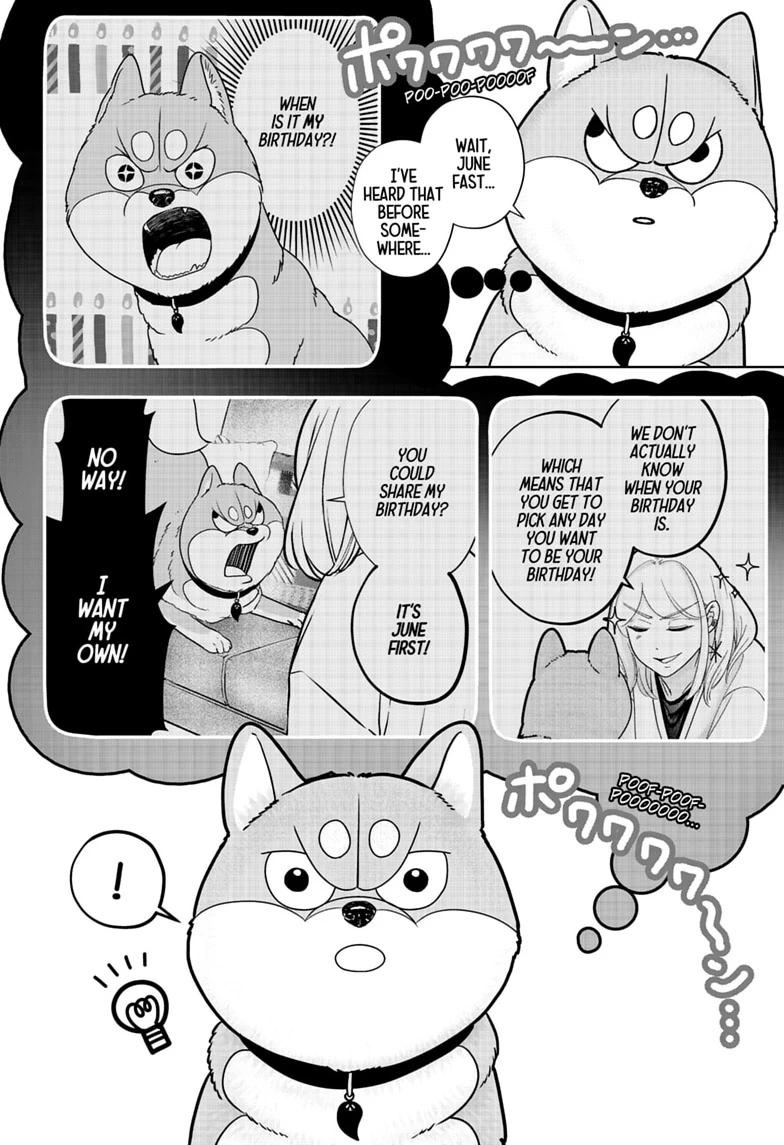 Shiba Inu Rooms Chap 57 - Next Chap 58