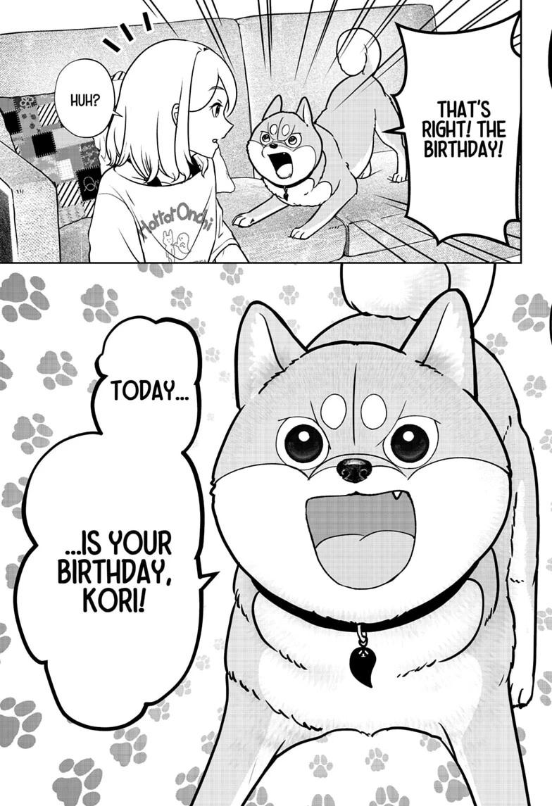 Shiba Inu Rooms Chap 57 - Next Chap 58