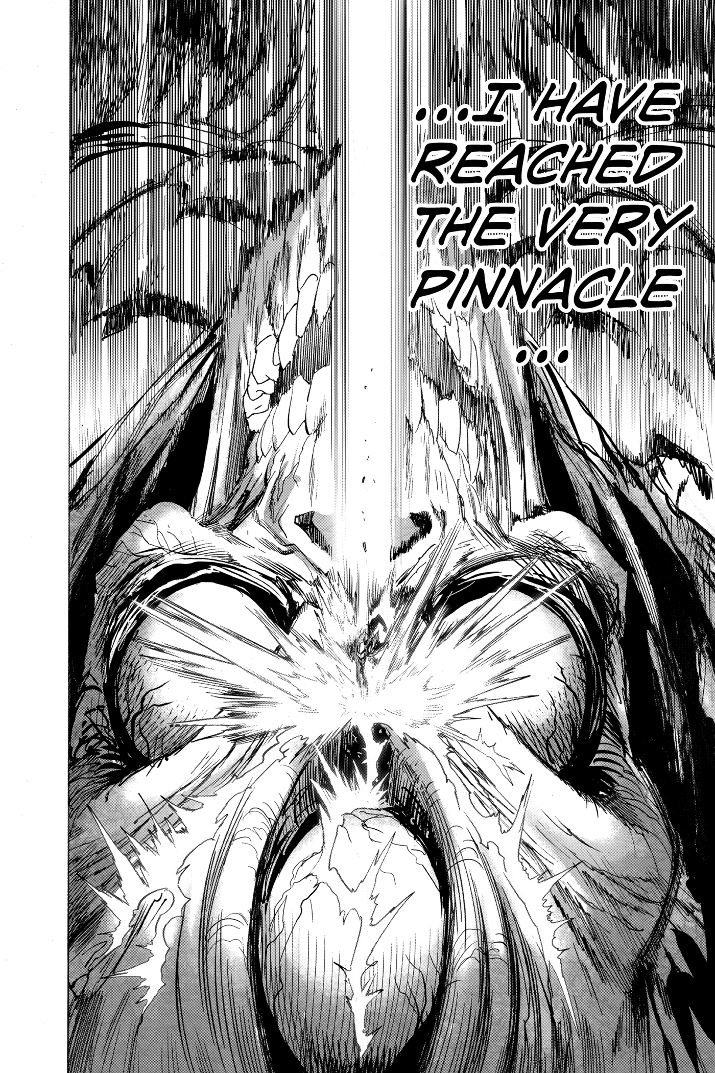 One-Punch Man Official Chap 164 - Next Chap 165