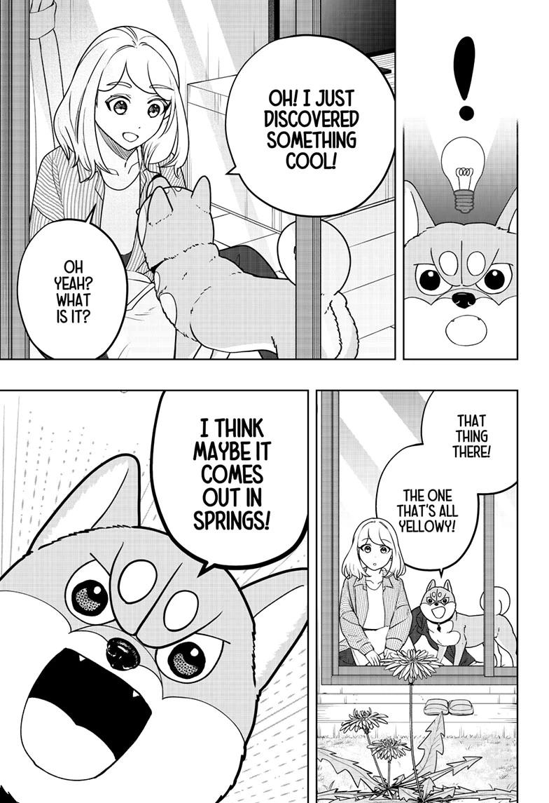 Shiba Inu Rooms Chap 49 - Next Chap 50