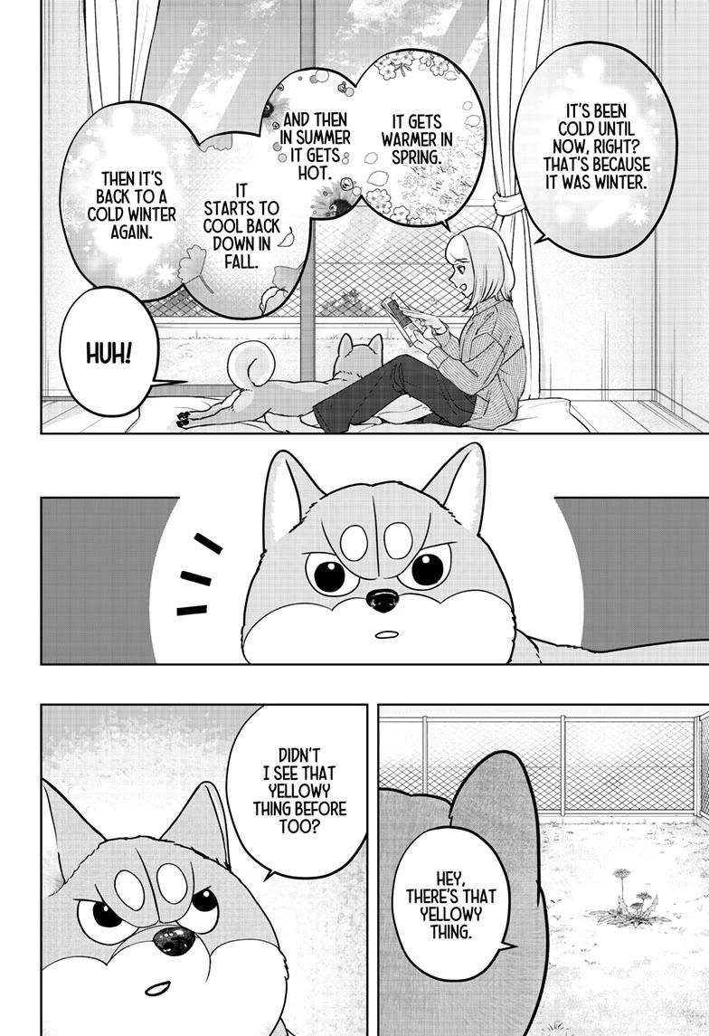 Shiba Inu Rooms Chap 49 - Next Chap 50