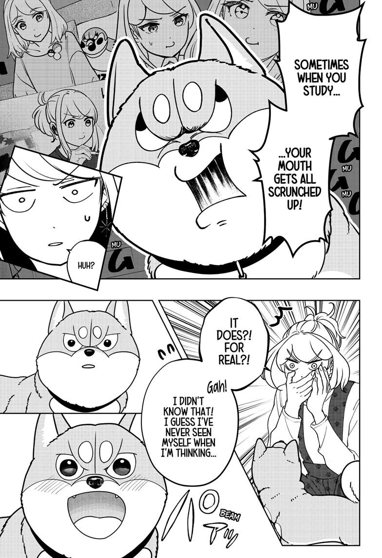 Shiba Inu Rooms Chap 49 - Next Chap 50