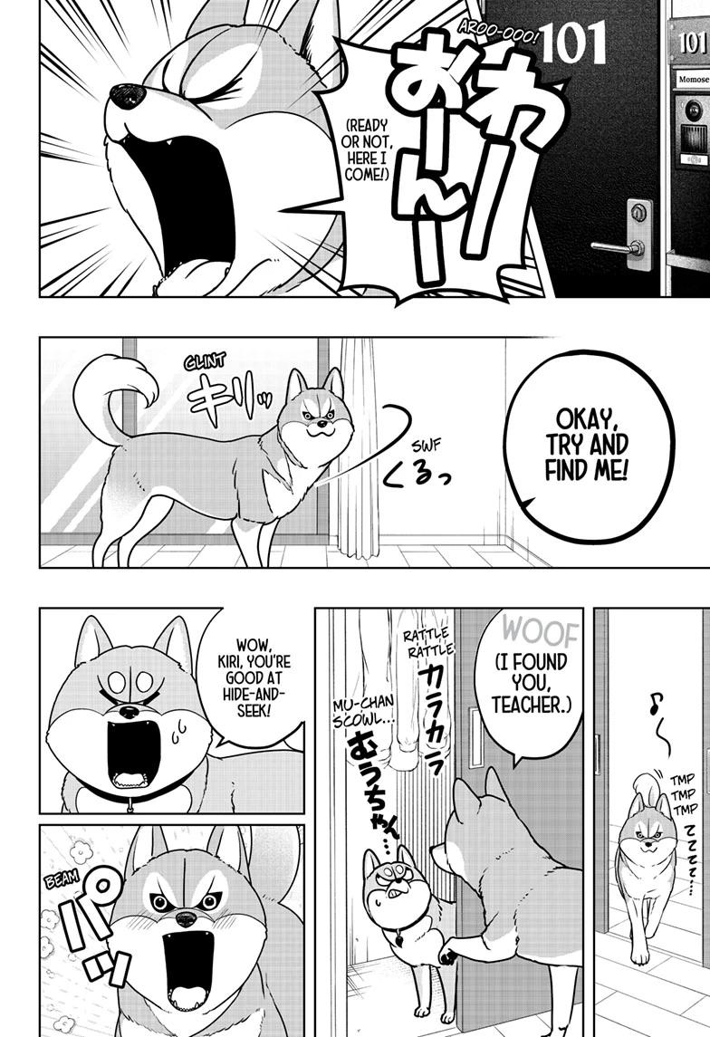Shiba Inu Rooms Chap 49 - Next Chap 50