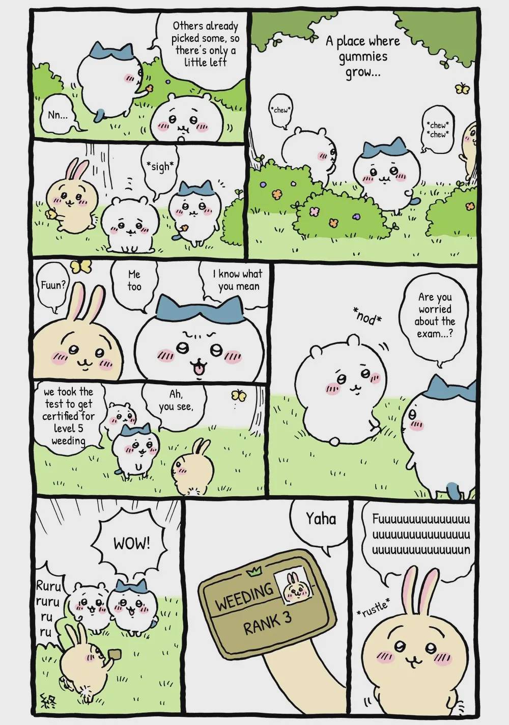 Chiikawa: Nanka Chiisakute Kawaii Yatsu Chap 11 - Next Chap 12