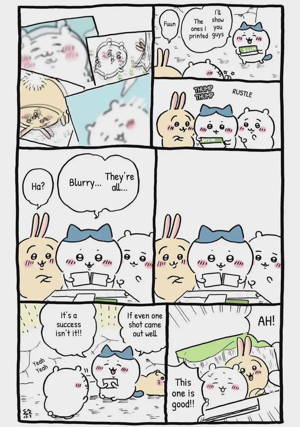 Chiikawa: Nanka Chiisakute Kawaii Yatsu Chap 15 - Next Chap 16