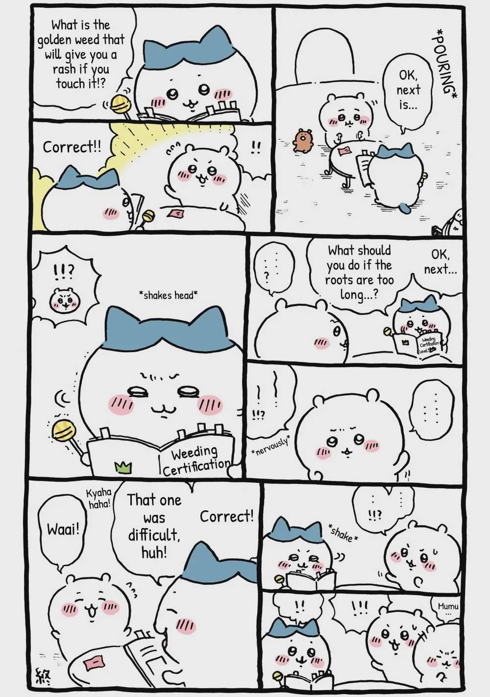 Chiikawa: Nanka Chiisakute Kawaii Yatsu Chap 15 - Next Chap 16