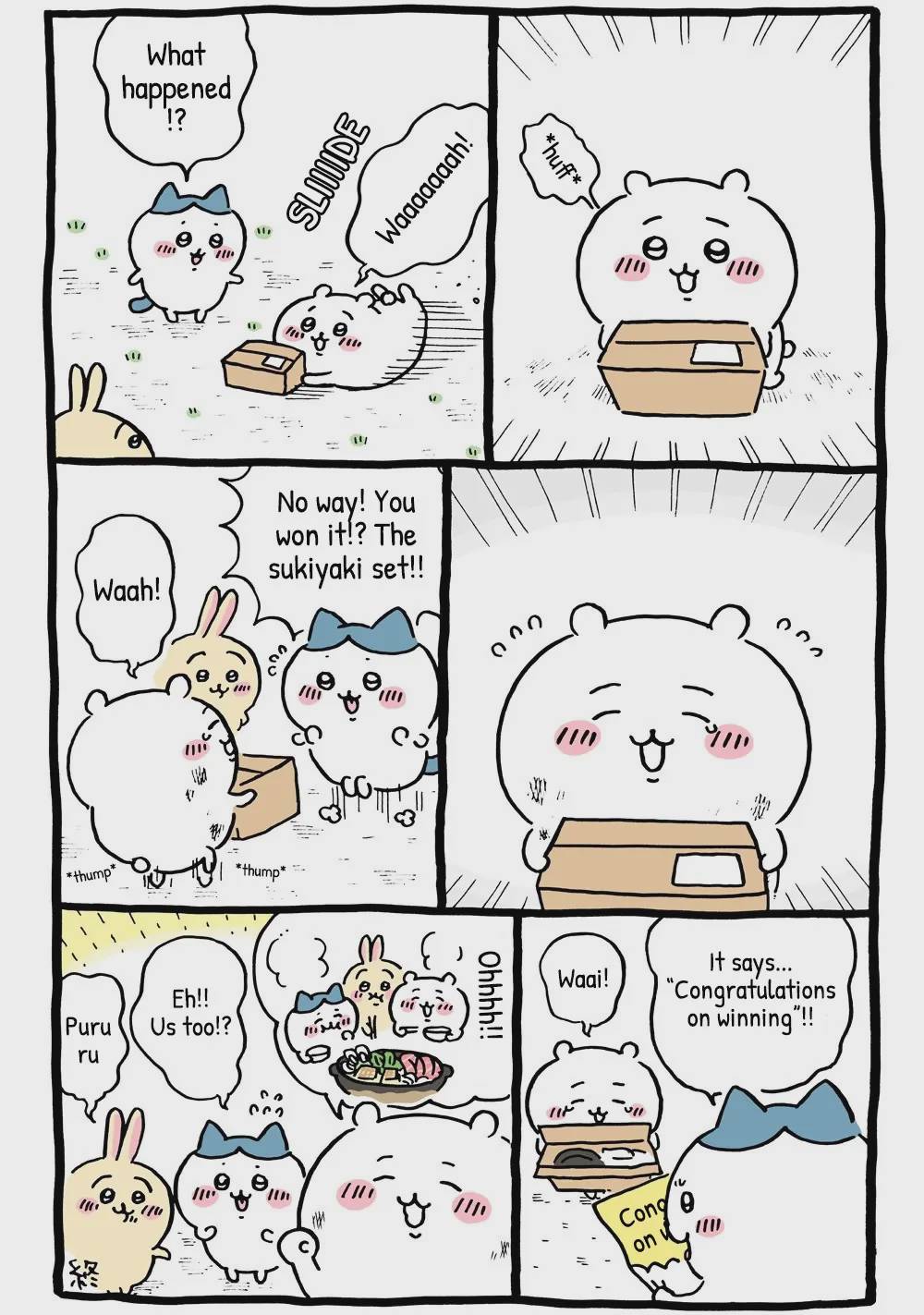 Chiikawa: Nanka Chiisakute Kawaii Yatsu Chap 17 - Next Chap 18