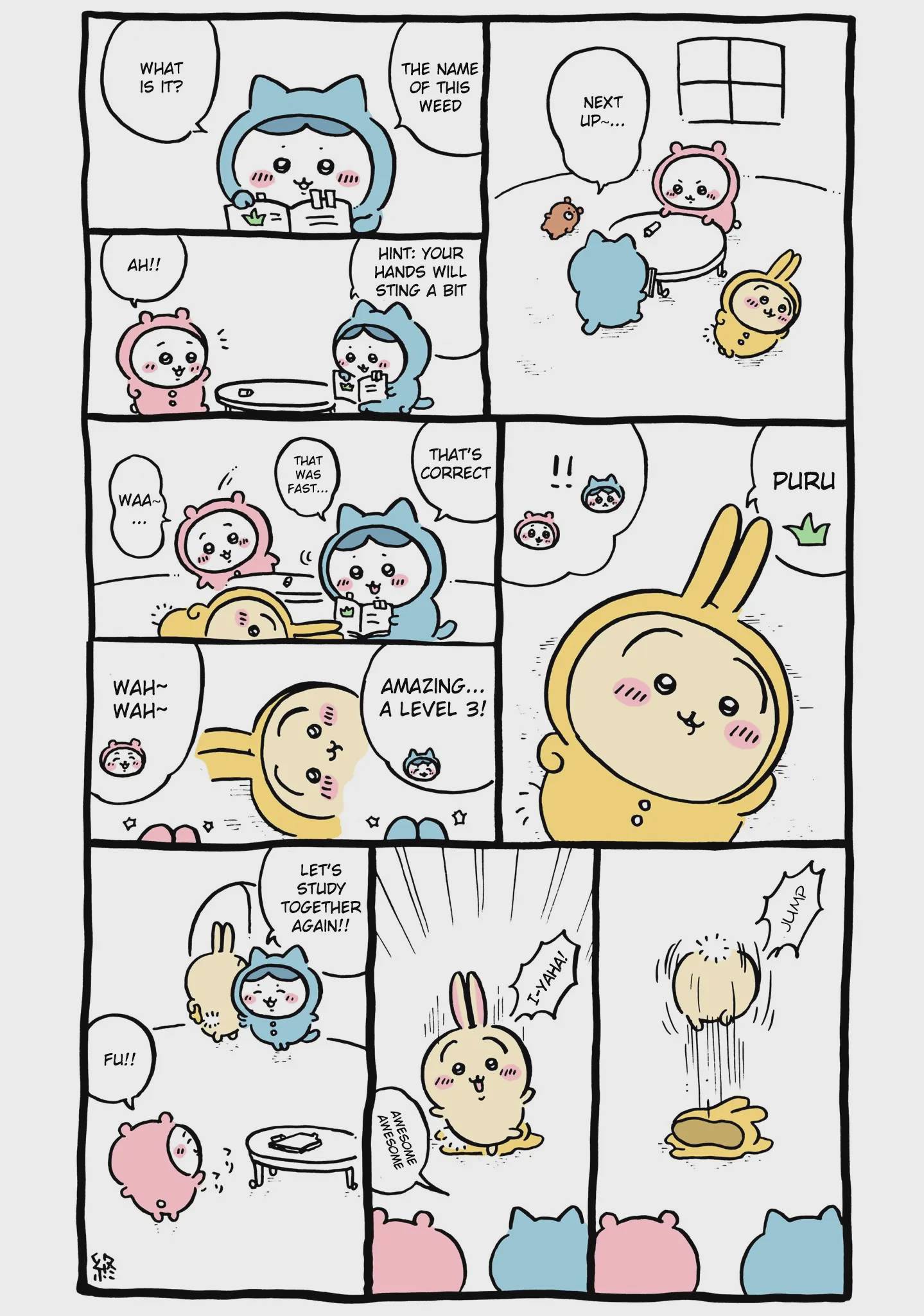 Chiikawa: Nanka Chiisakute Kawaii Yatsu Chap 43 - Next Chap 44