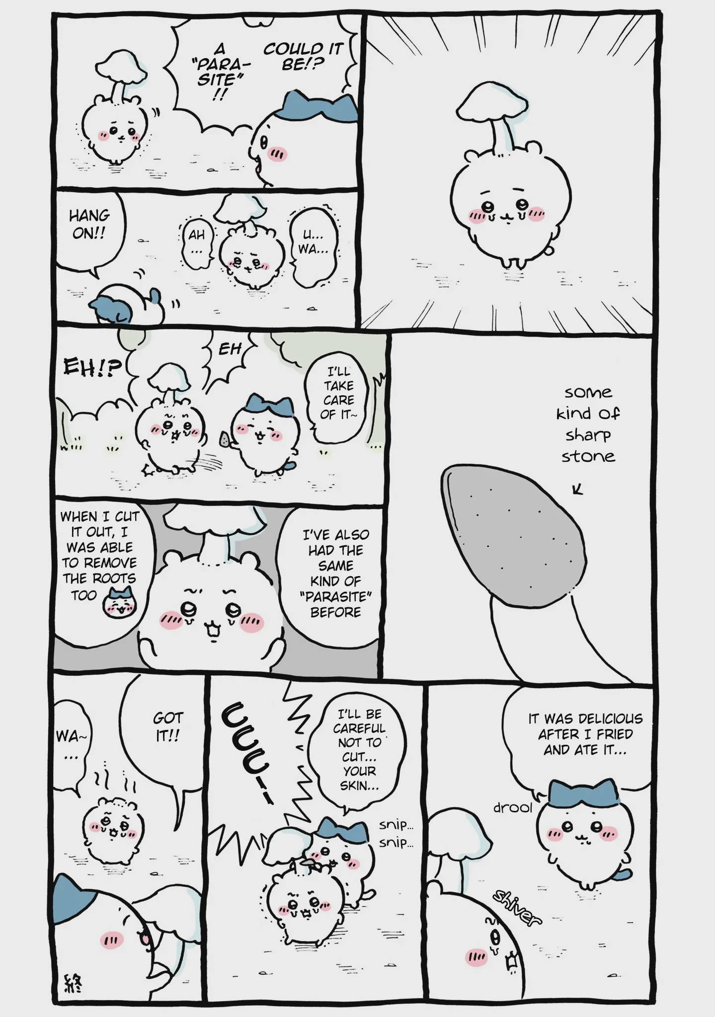 Chiikawa: Nanka Chiisakute Kawaii Yatsu Chap 47 - Next Chap 48
