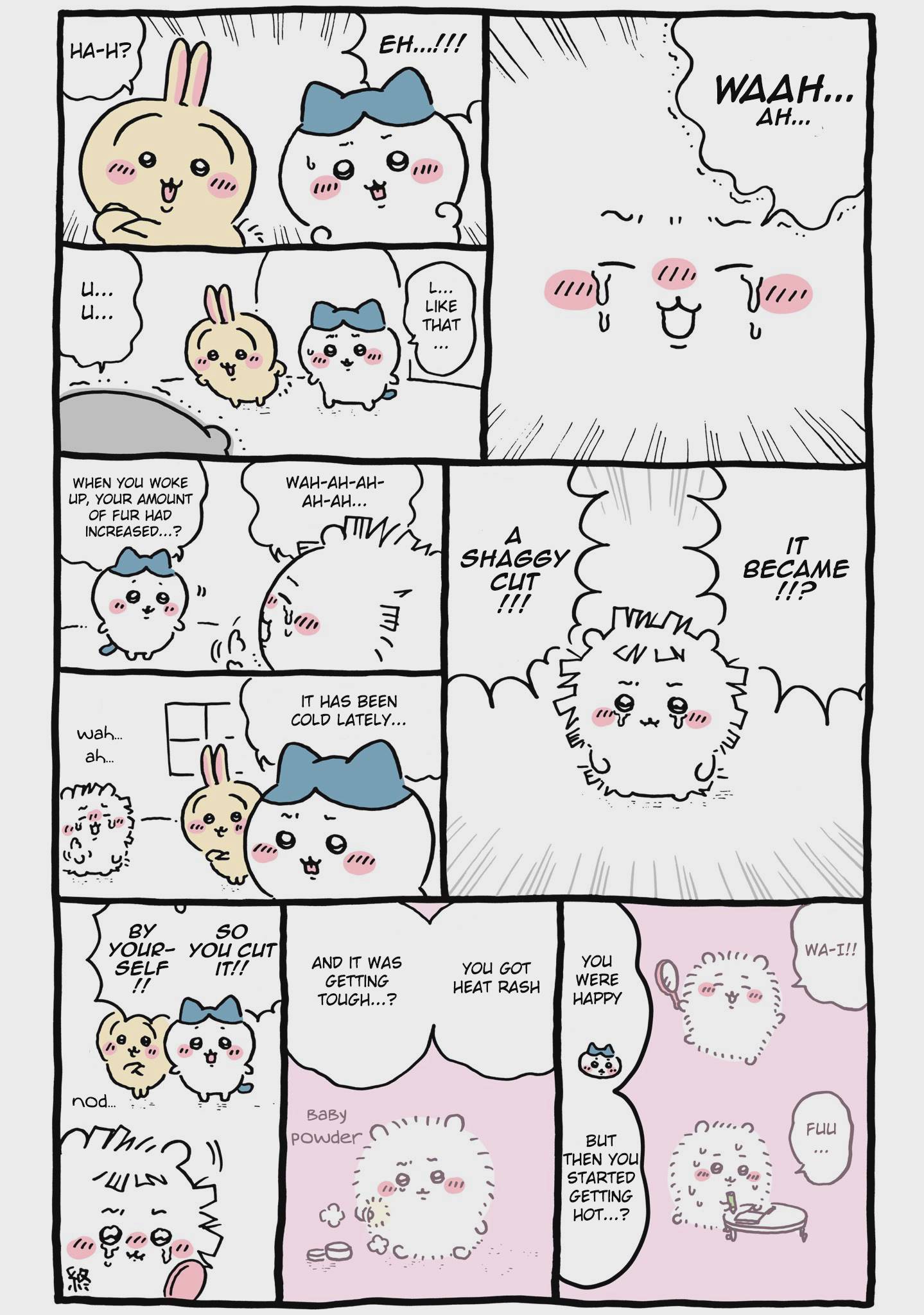 Chiikawa: Nanka Chiisakute Kawaii Yatsu Chap 65 - Next Chap 66